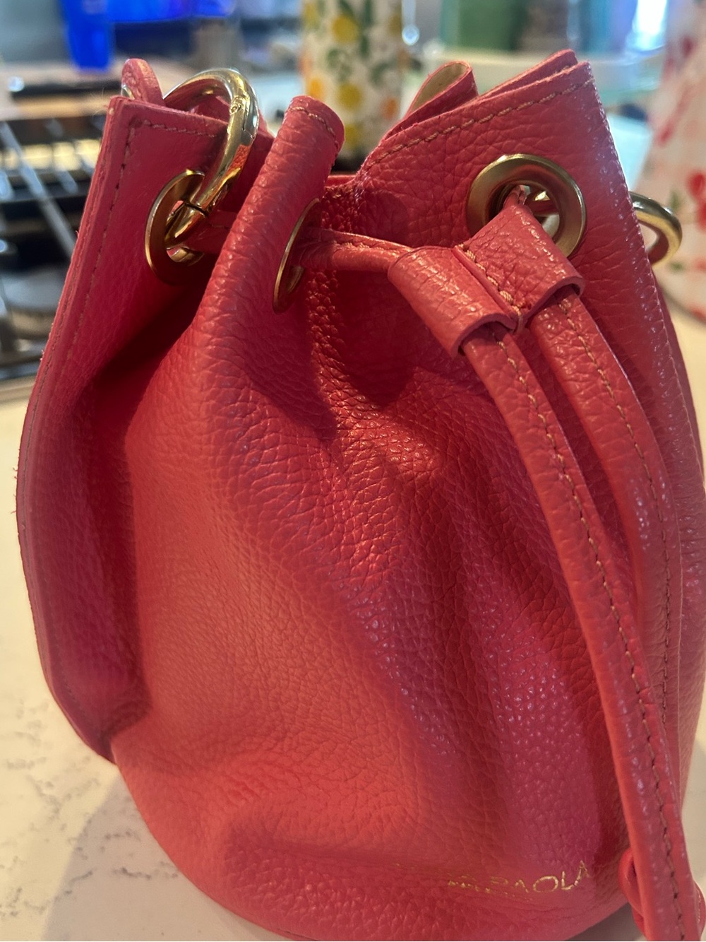 Anna Paola Drawstring Shoulder Bag